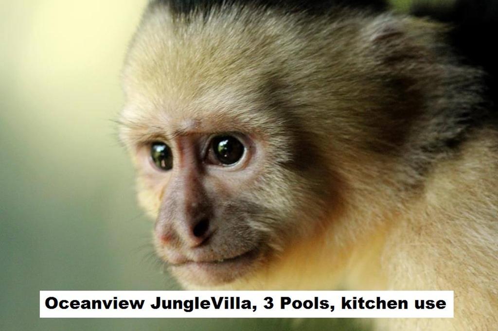 Jungle Villa Мануель-Антоніо Екстер'єр фото