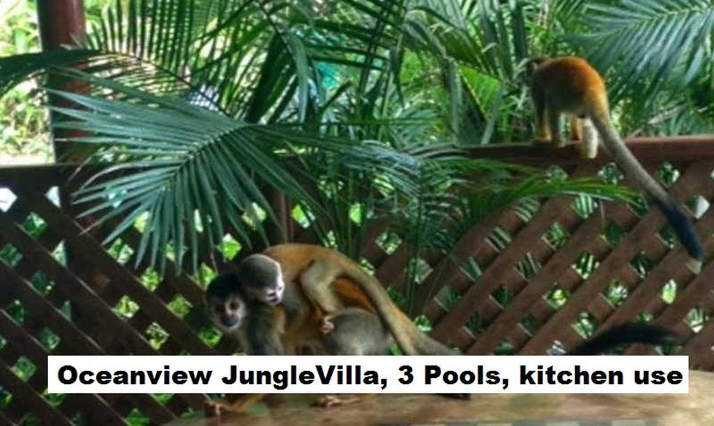 Jungle Villa Мануель-Антоніо Екстер'єр фото