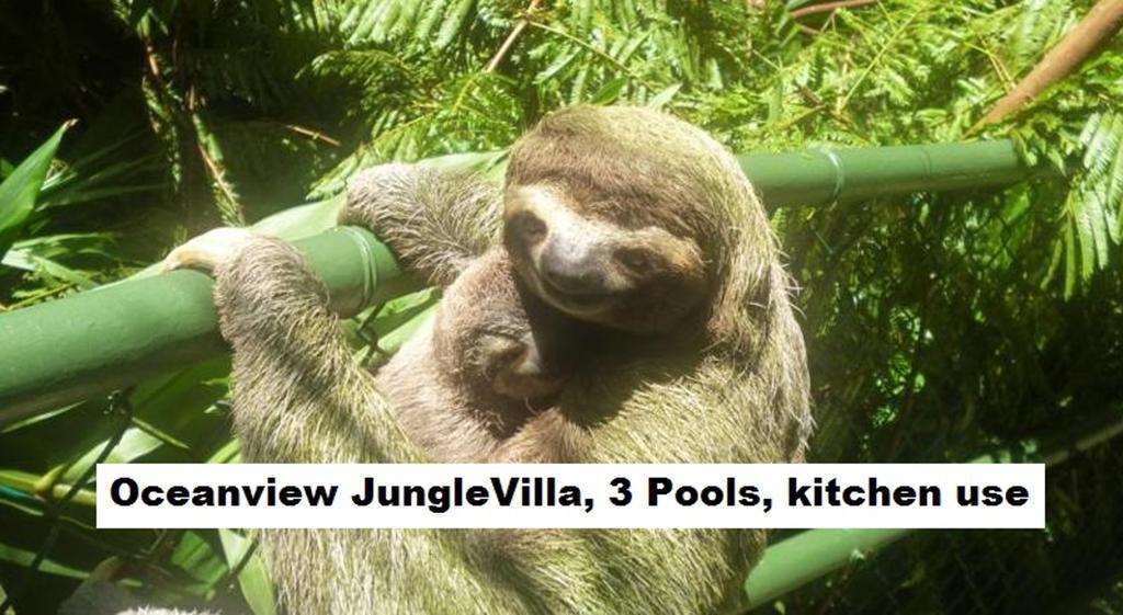 Jungle Villa Мануель-Антоніо Екстер'єр фото